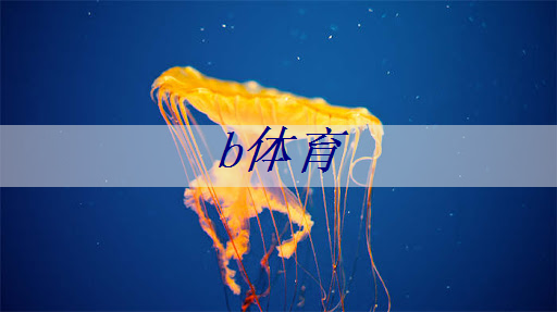 b体育官网：万华智能物流公众号