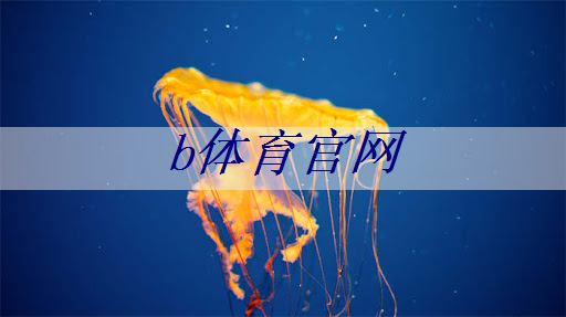 b体育官网入口：直播预告：一芯多屏趋势下，智能座舱芯片的创新与应用